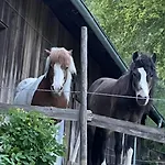 Reitterhof In Laufnitzdorf * Frohnleiten