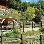 Reitterhof In Laufnitzdorf Appartement *