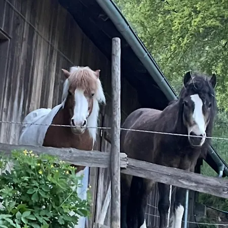 Reitterhof In Laufnitzdorf * Frohnleiten