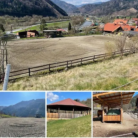 Reitterhof In Laufnitzdorf * Frohnleiten