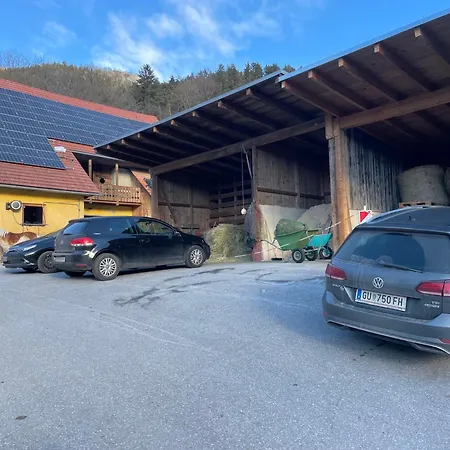 Reitterhof In Laufnitzdorf 公寓