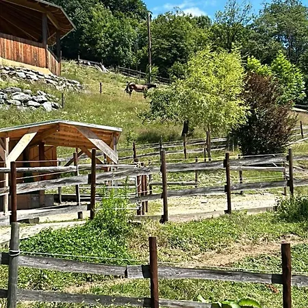 Reitterhof In Laufnitzdorf Lägenhet *