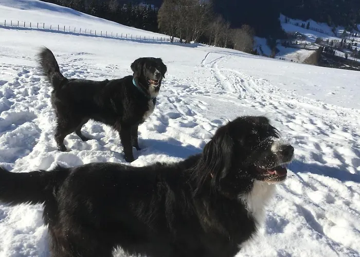 Reitterhof In Laufnitzdorf شقة