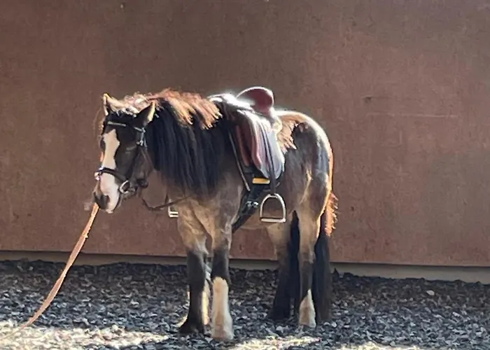 Reitterhof In Laufnitzdorf فروهينليتين