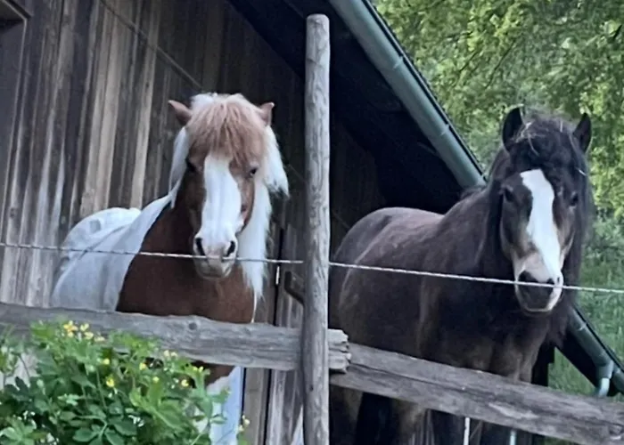 Reitterhof In Laufnitzdorf * 弗龙莱腾