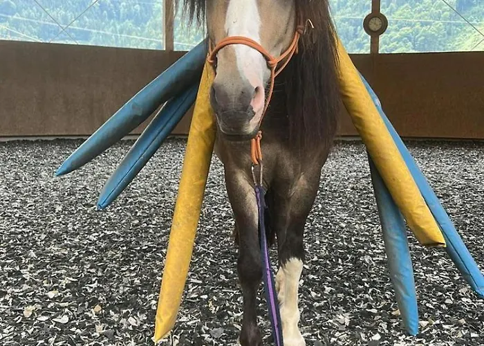 Reitterhof In Laufnitzdorf 弗龙莱腾