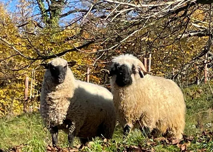 Reitterhof In Laufnitzdorf *